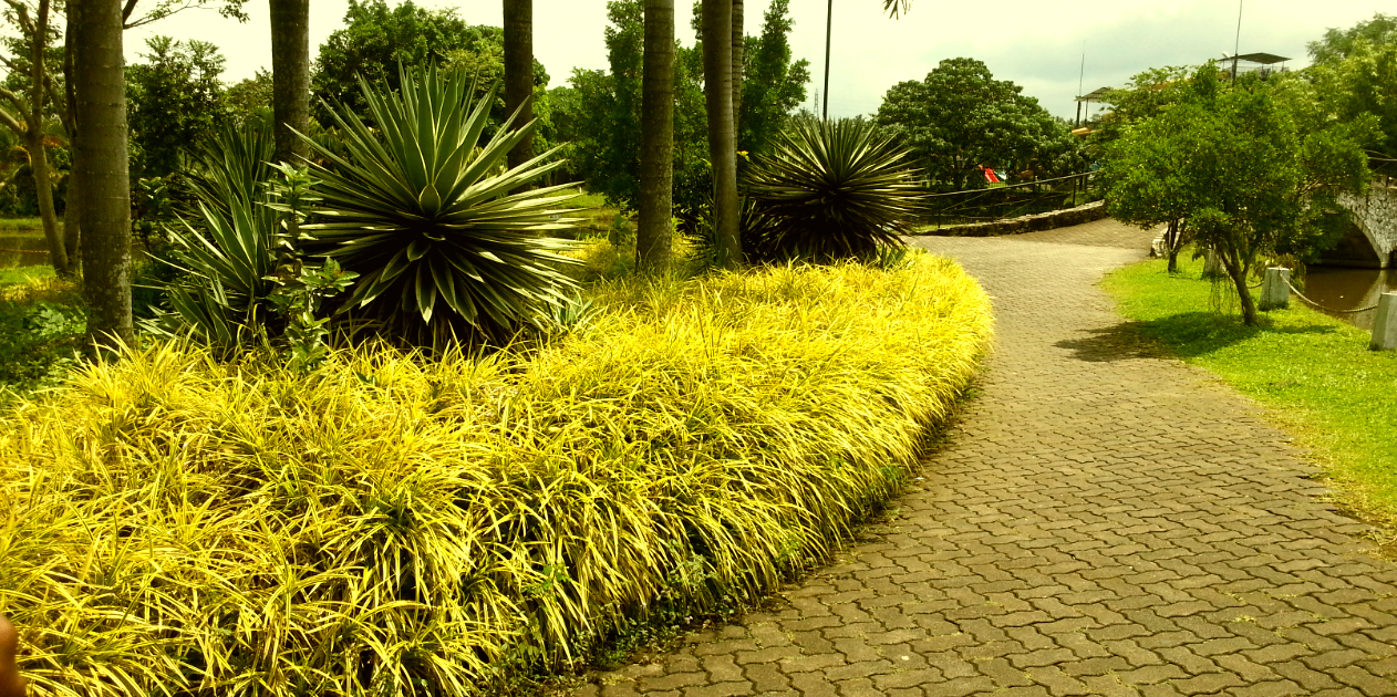 bsivakanth's profile banner image