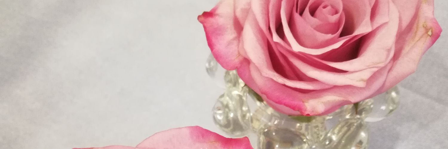 ElinaSZ's profile banner image