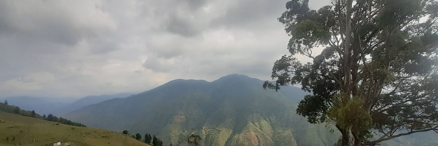manoloadriano's profile banner image