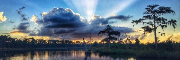 DawgfishJ Profile Banner