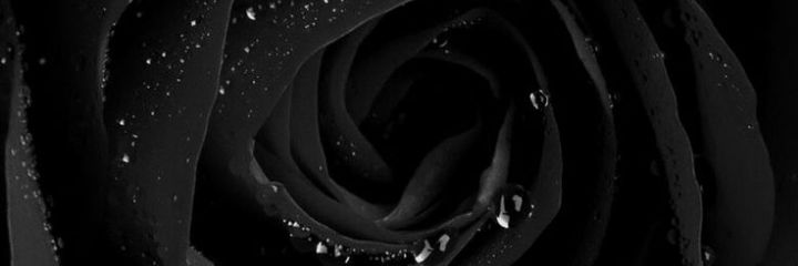 Cookie Winters banner