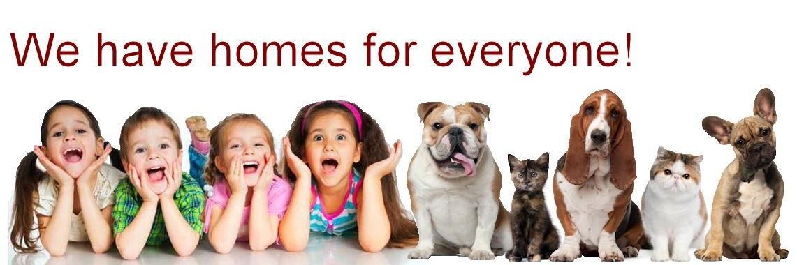 Suzncee's profile banner image