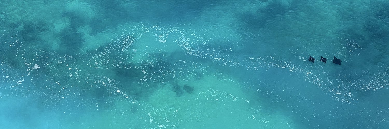 𝙰L’ 🌸 banner