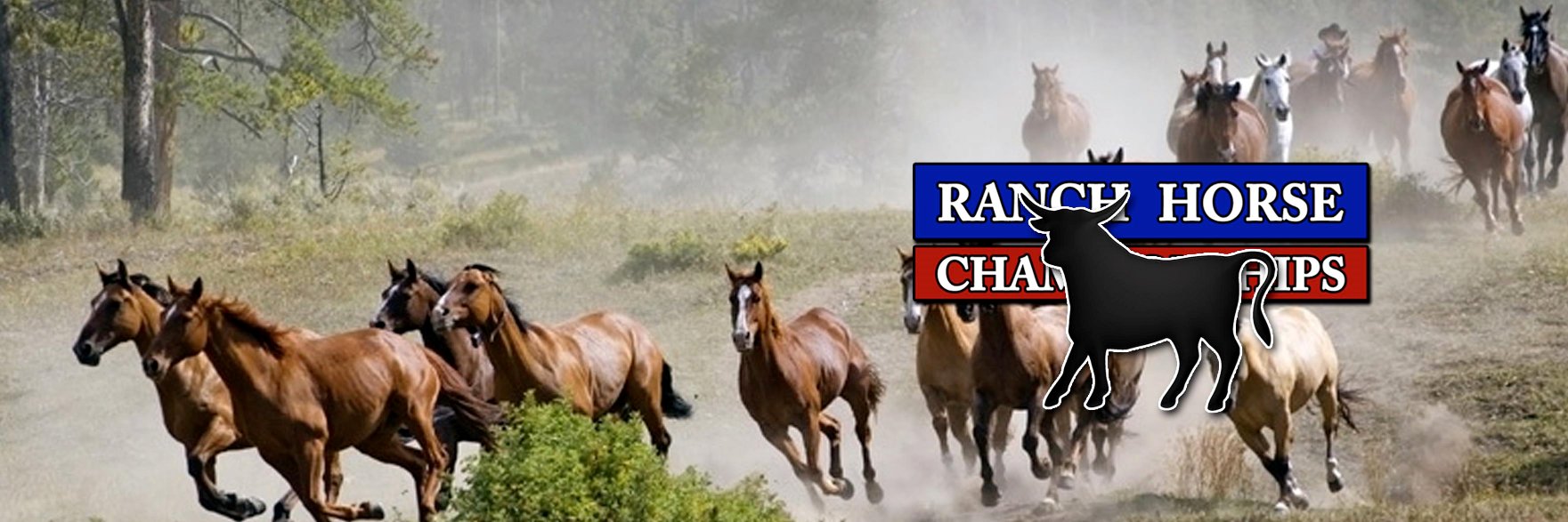 Ranch Horse Champion banner