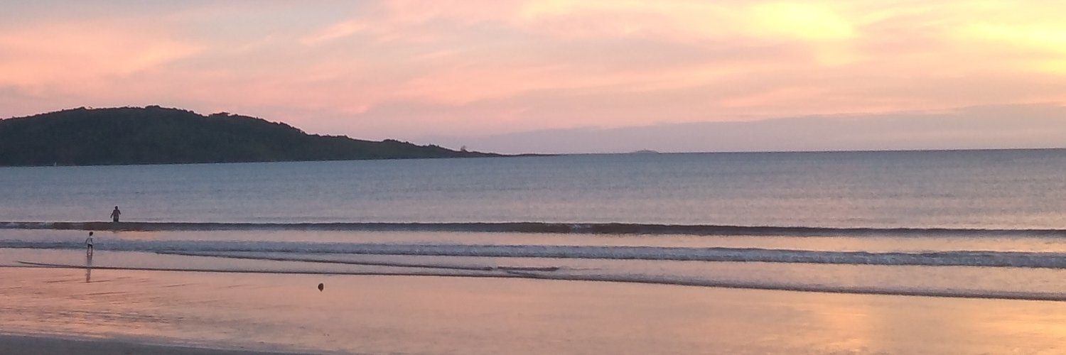 ffernandaamorim's profile banner image