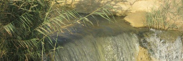 rashakmahmoud Profile Banner