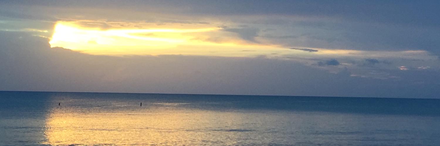 cocoloco182's profile banner image
