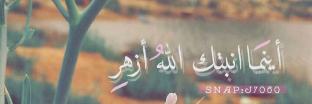 lavender_al's profile banner image