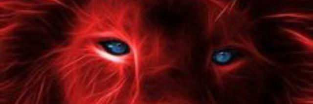 Boodipop's profile banner image