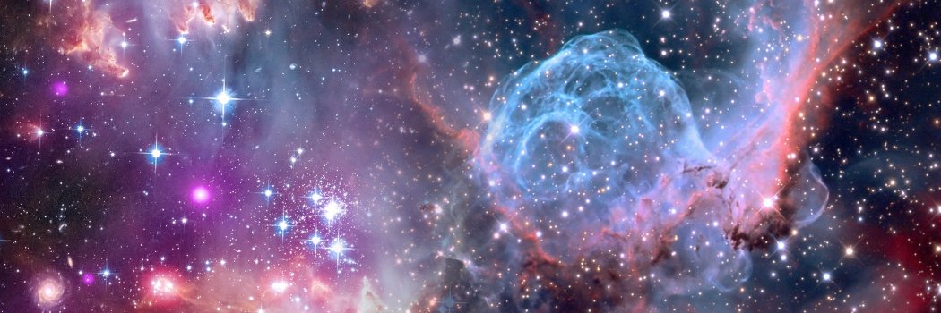 SayNoToTerror banner