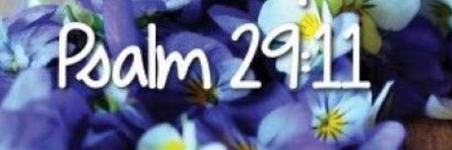 Cassidy_W_9's profile banner image