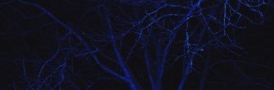 HTTP_NLLHZ's profile banner image