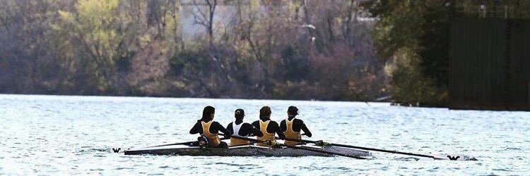 Hannah Hammon banner