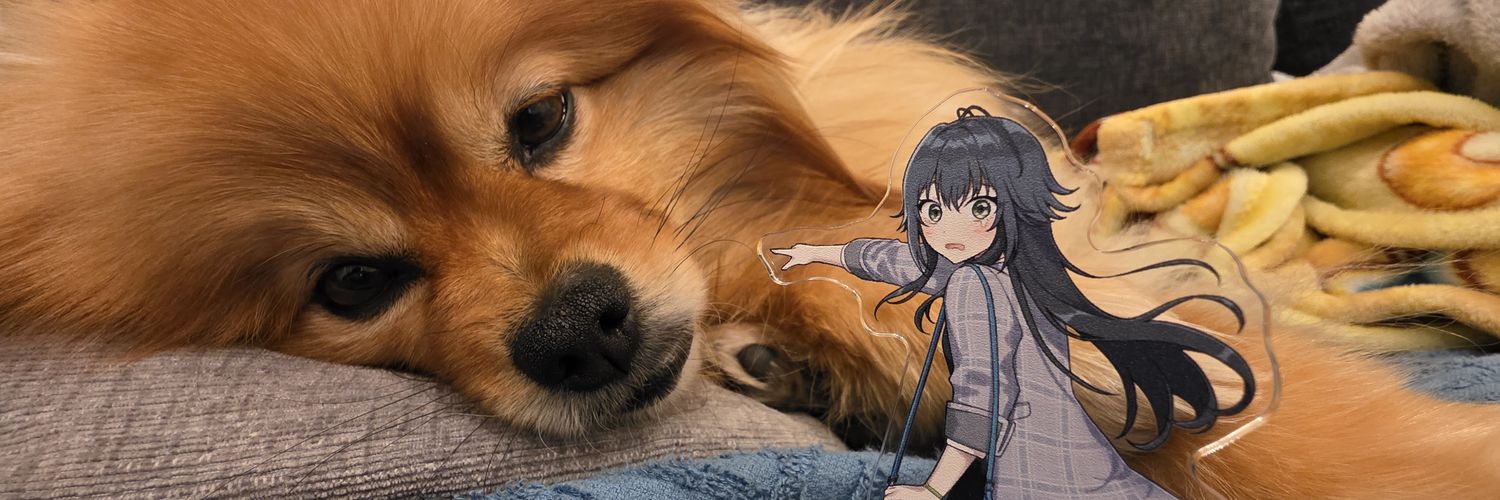 どたわけひろぴー banner