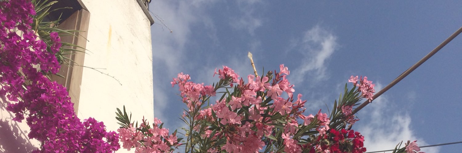 davishir's profile banner image