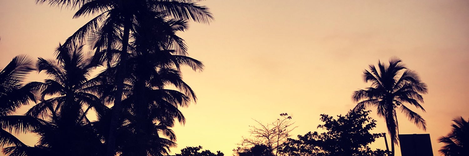 LeonardoOA's profile banner image