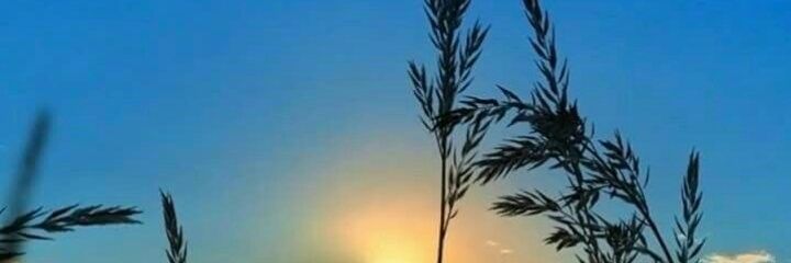 ohirhwe's profile banner image