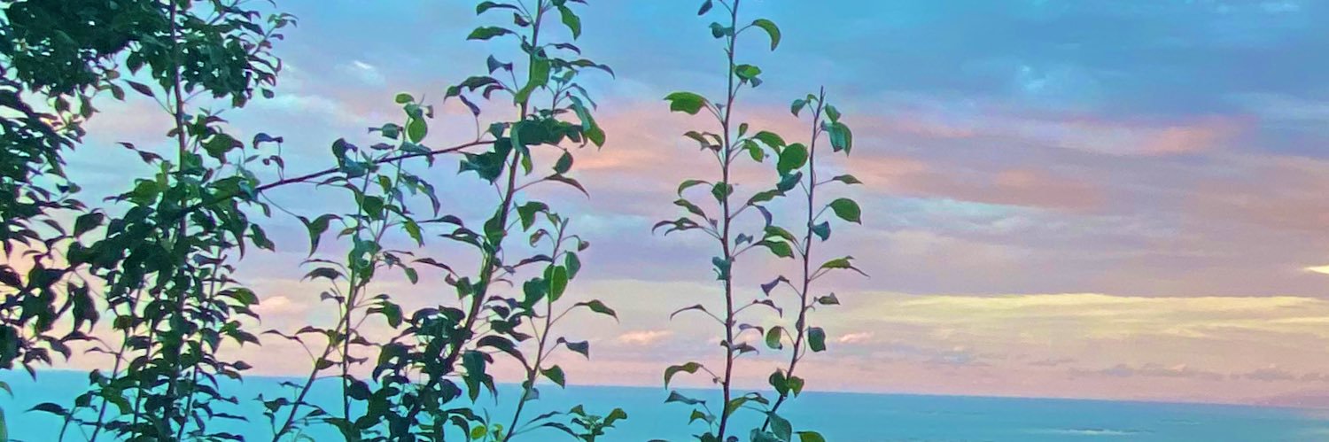 iremceeg's profile banner image