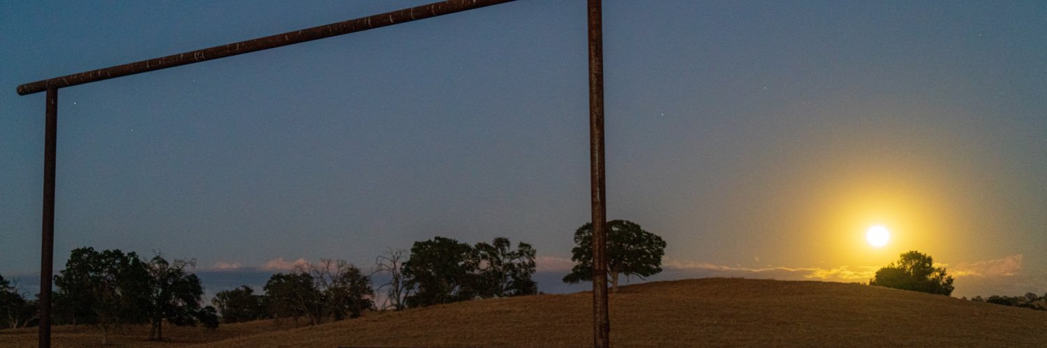 Gonzo BOLT UP ⚡️ banner