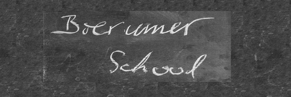 Bierumer School banner