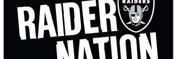 Punk_Raider Profile Banner