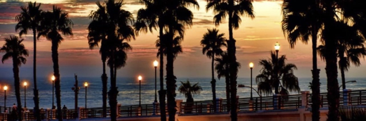 Falepolima Steele banner