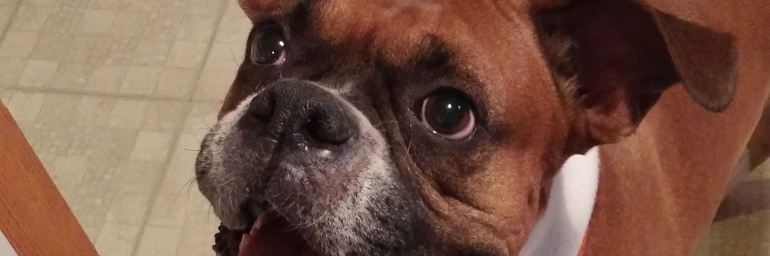 Real_Slim_Schil's profile banner image