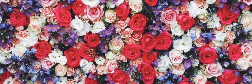 BellaDuFriend's profile banner image