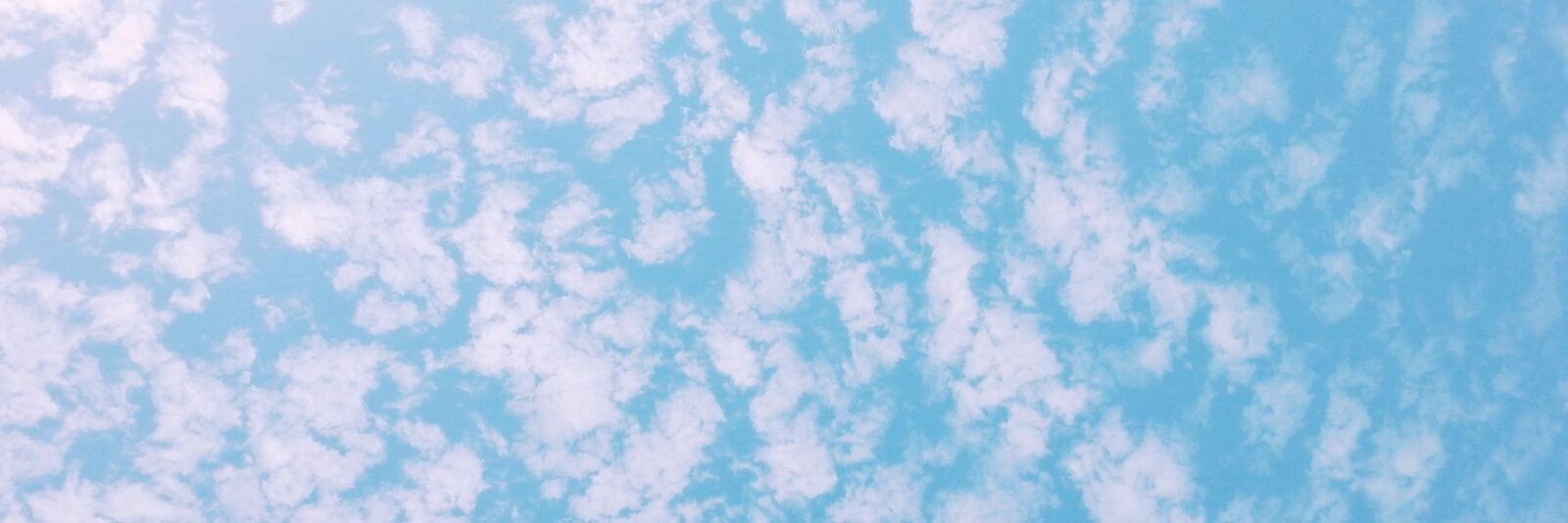 SVT_DollAunt's profile banner image