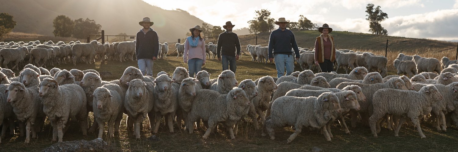 The Woolmark Company banner