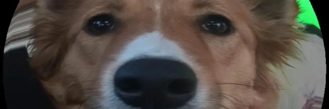 vale_druettaa's profile banner image