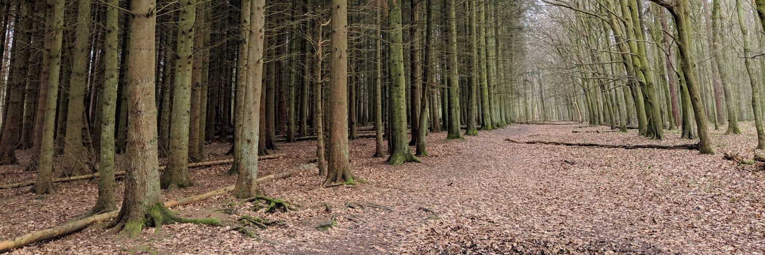 Jeffriecakes's profile banner image