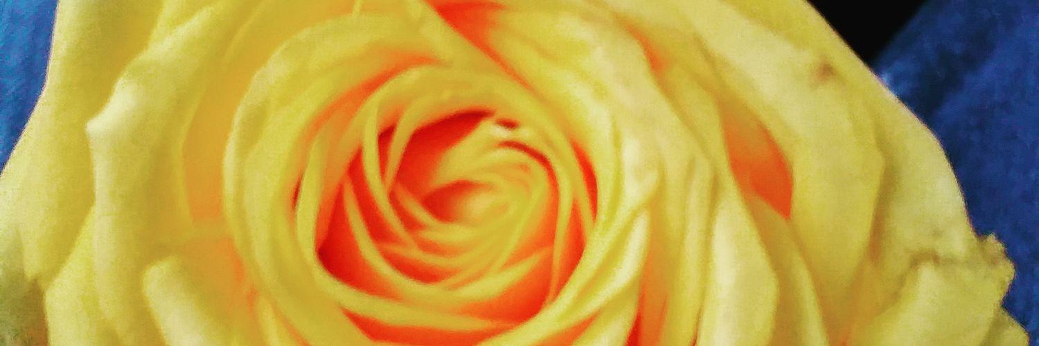 _DeAnna_Rose's profile banner image