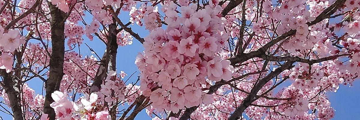 かな@取引用 banner