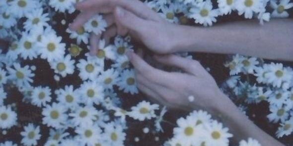 Len_glez's profile banner image