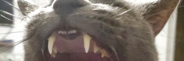 VariousCrap Profile Banner