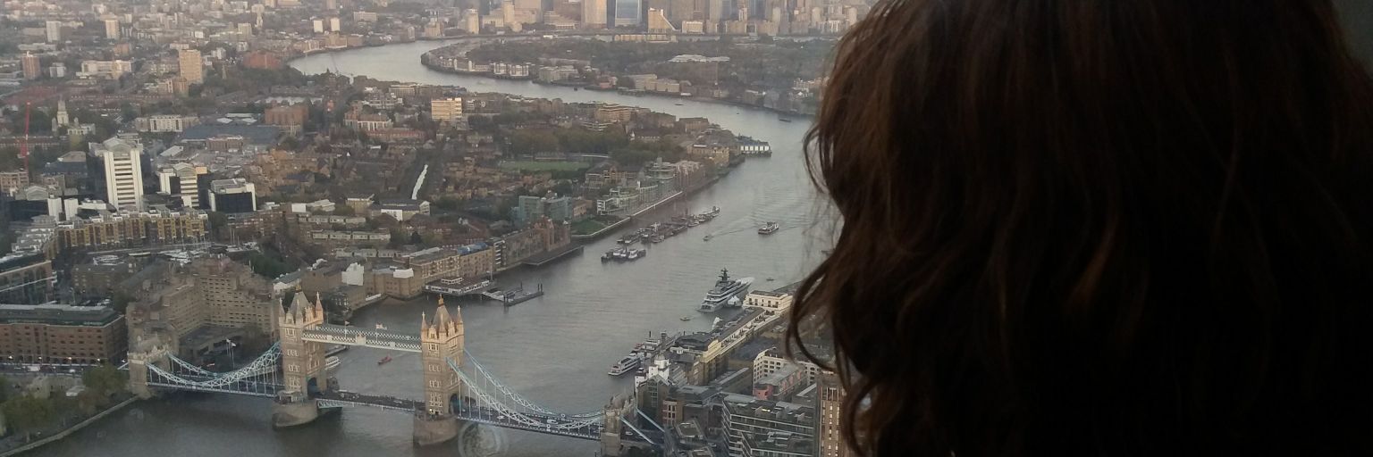 Mary Iglesias banner