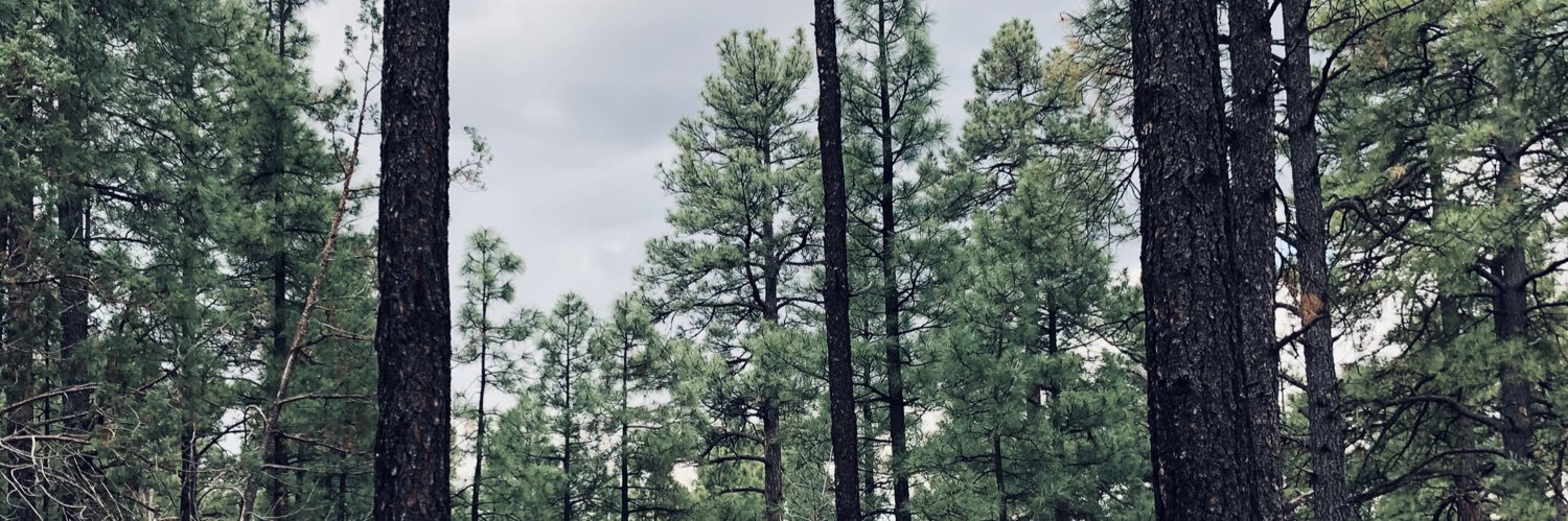 t_rog_'s profile banner image