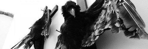 the_queer_witch's profile banner image