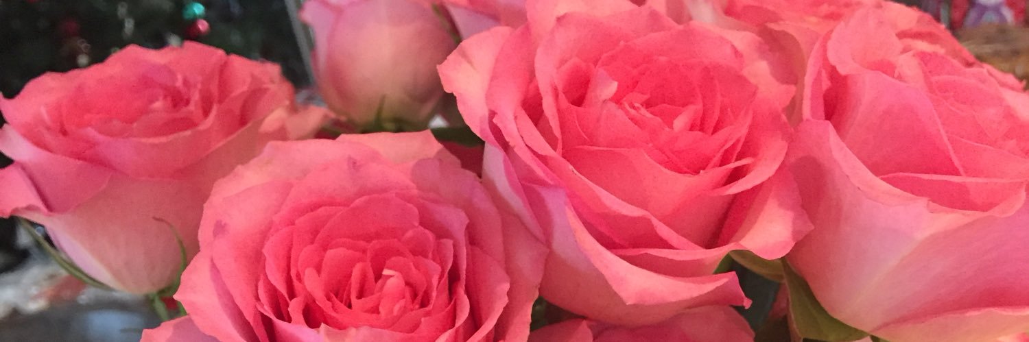 jayprincess18's profile banner image