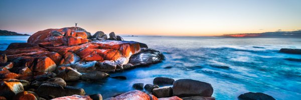 hansmast Profile Banner