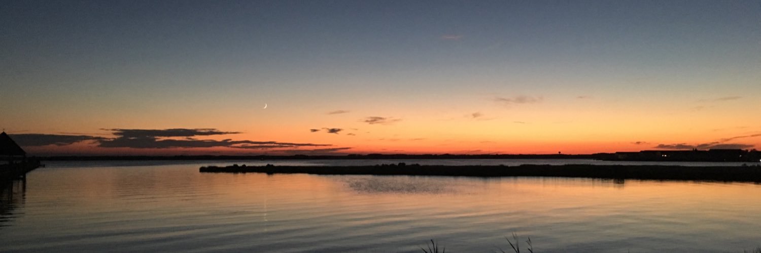 Mr. Cook - Math banner