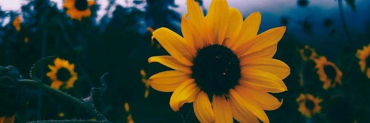 ForeverxMissa's profile banner image