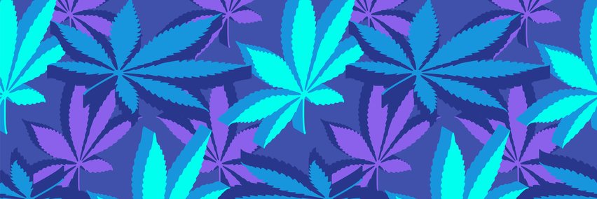 The Medical Marijuana Blog banner