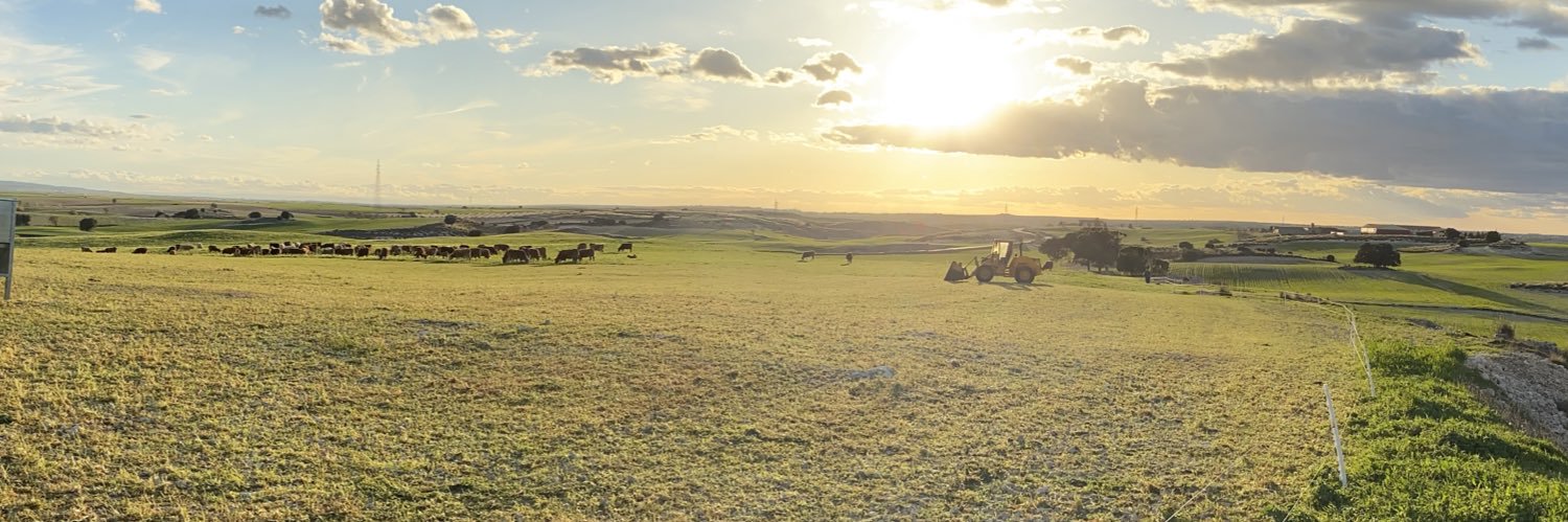 Pedrito Pijamas banner