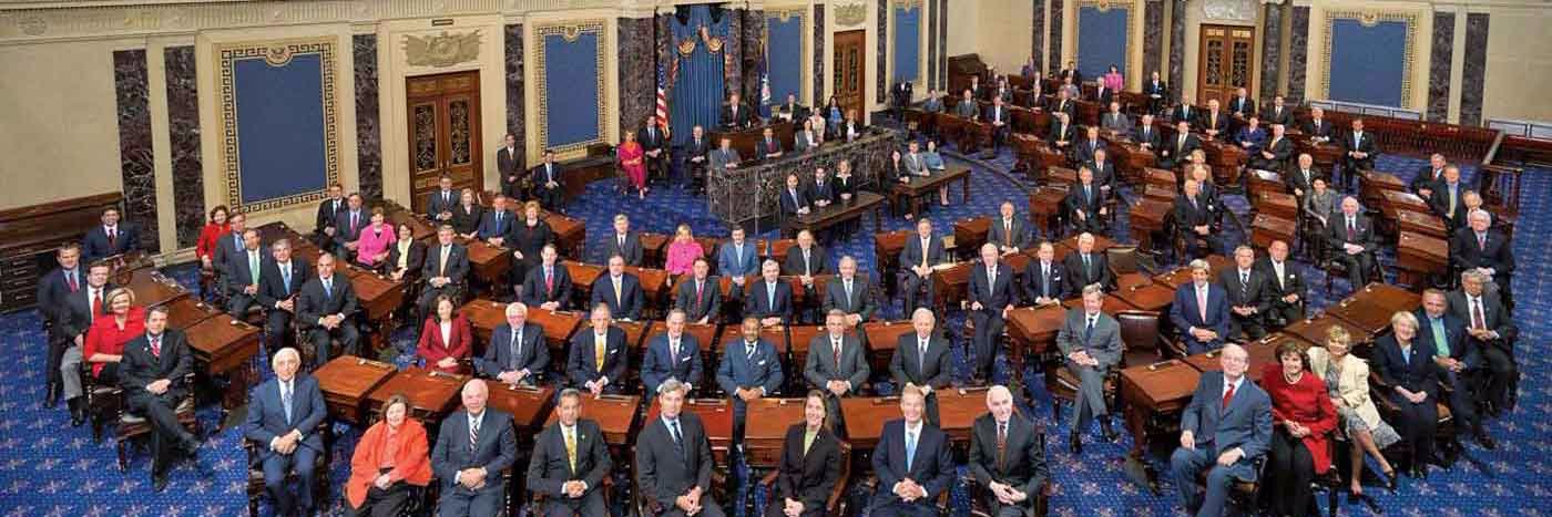 The Senate banner