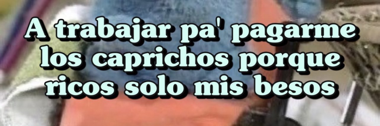 Irene Fernandez banner