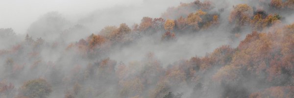 tvar_ne_spit Profile Banner