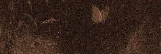 itsmemaaaar's profile banner image