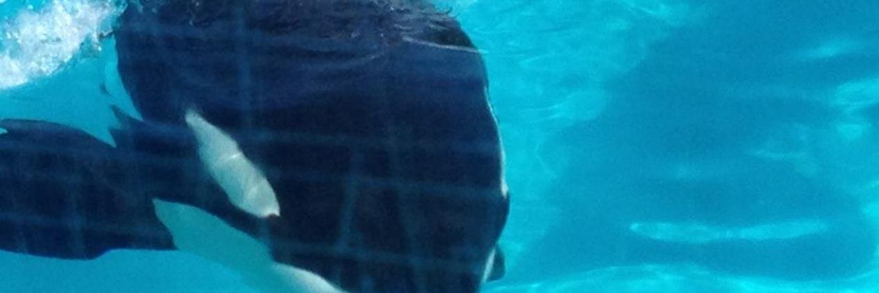JamesWeber16's profile banner image